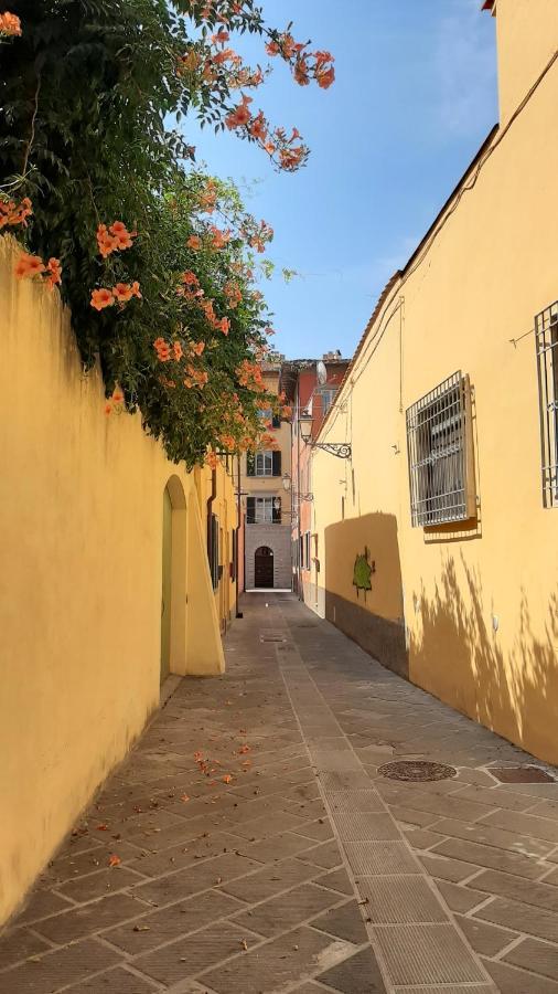 Casa Campanella Bed & Breakfast Pisa Luaran gambar